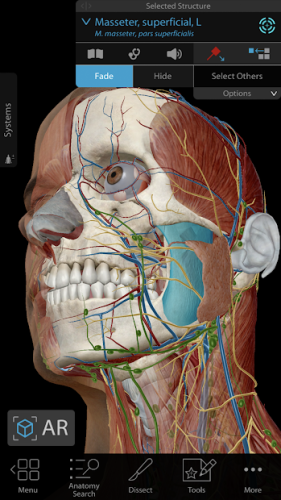 Human Anatomy Atlas 2020: Complete 3D Human Body 0