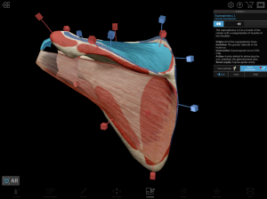 Human Anatomy Atlas 2020: Complete 3D Human Body 9