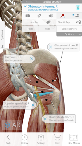 Human Anatomy Atlas 2020: Complete 3D Human Body 1